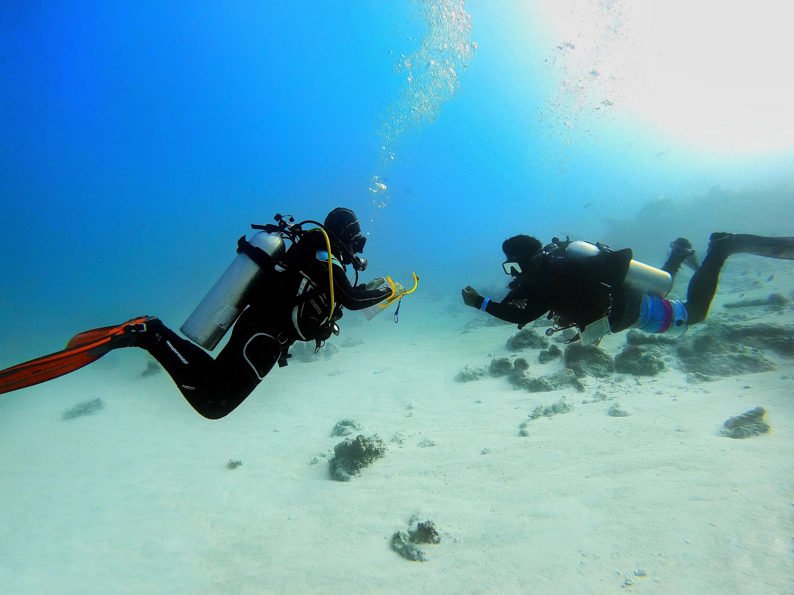 madive dive with grazia palmisano copia copia