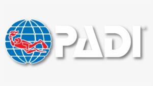192 1923856 padi logo png white transparent png