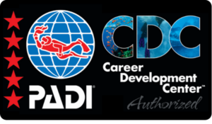 padi idc cdc puglia idc